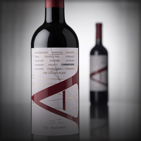 VIK A | Carmenère